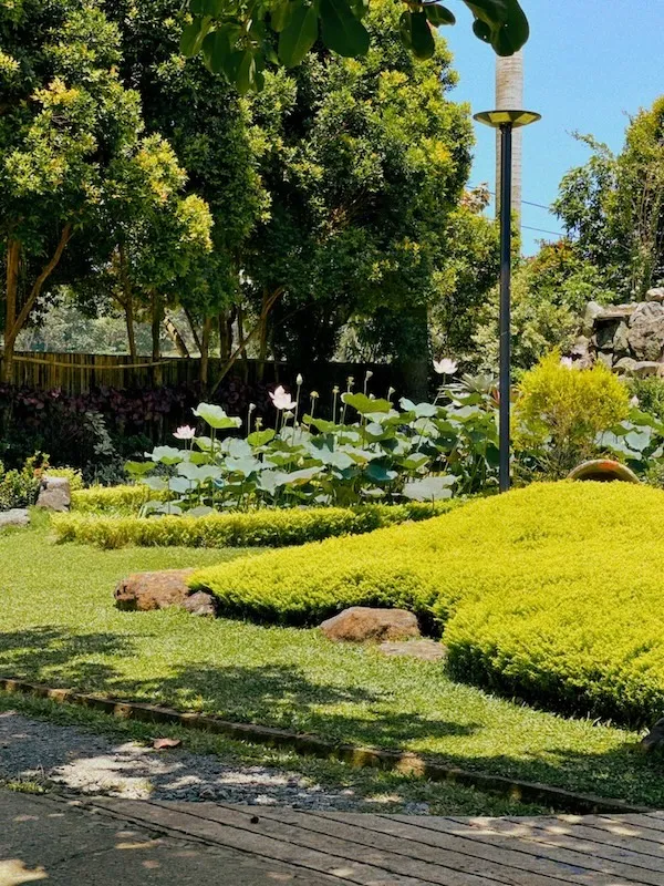 Dafalong flower farm iloilo