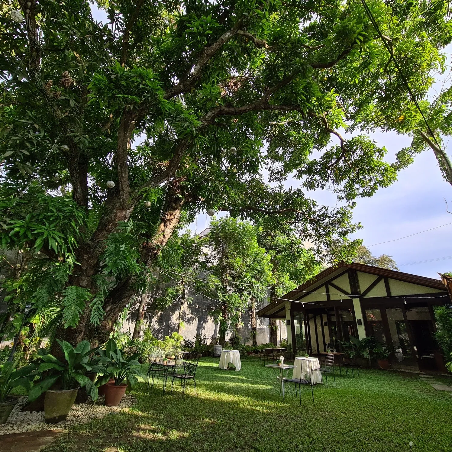 The Mango Tree Restaurant