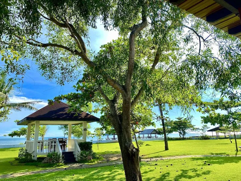 Aruna beach resort beachside